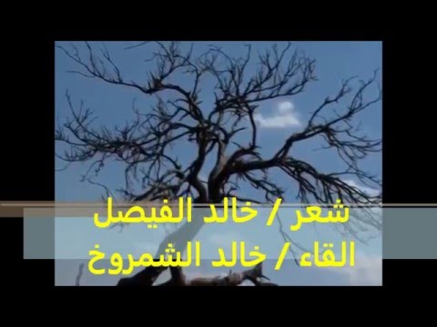 من شعر الامير خالد الفيصل القاء خالد الشمروخ 16 4 2016 السبت