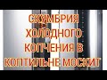 рецепт СКУМБРИЯ ХОЛОДНОГО КОПЧЕНИЯ в Электростатической Коптильне МОСКИТ. Алексей Краснов