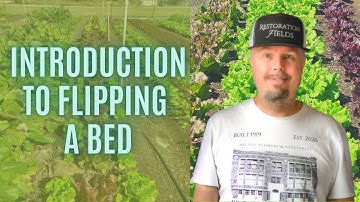 Get Your Garden Bed Ready for the Next Crop | The Benefits of Soil Blocks for Transplanting