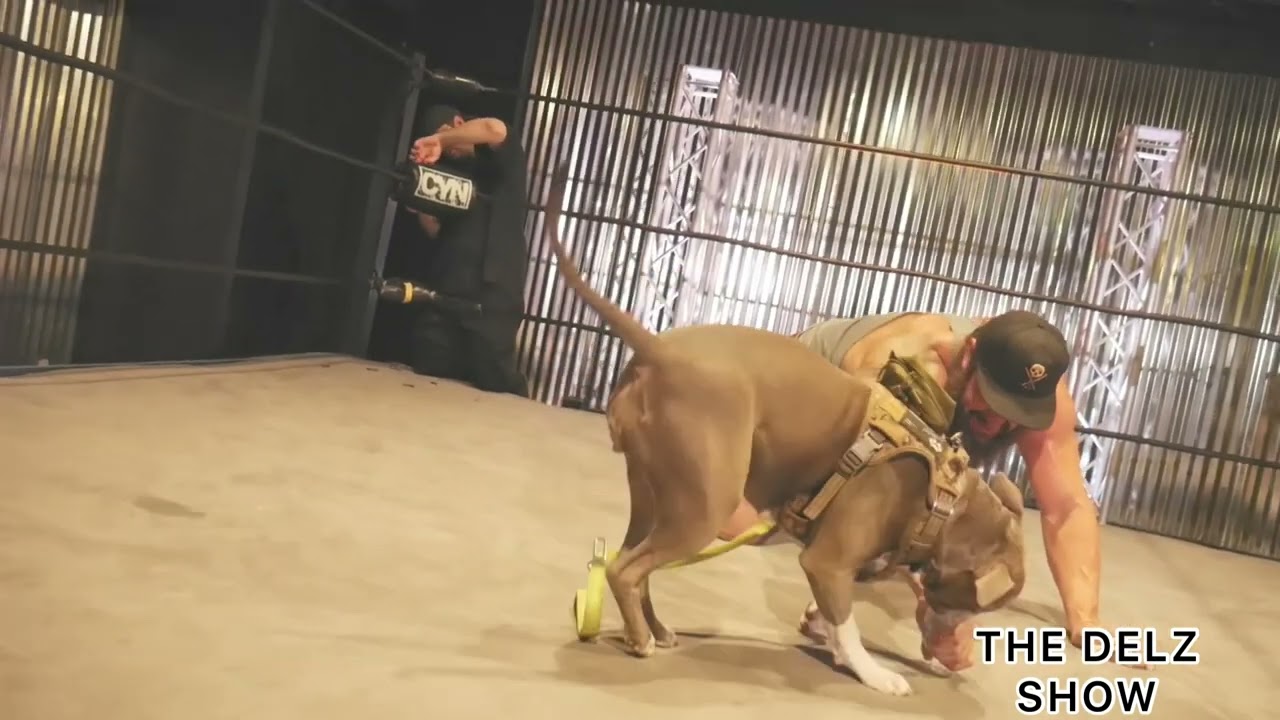 Wwe Braun Strowman Adam Scherr Play Wrestling his Dog Bella in Ring at AML Training Center 2022