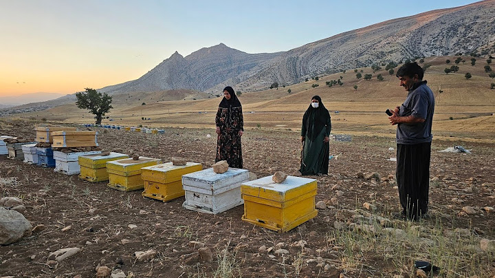 Single Mom's Sweet Dream: Can She Fund 10 Beehives and Start a Beekeeping Business?