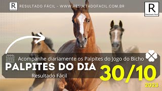 Palpite do dia 26/10/2023 do Jogo do Bicho - Resultado Fácil