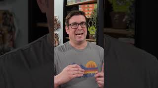What is the AFFINITY GAUNTLET? #mtg