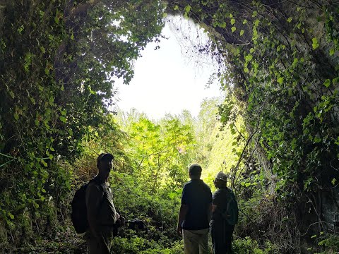 Messina. Una pista ciclopedonale immersa nel verde con  panorami mozzafiato: si può fare