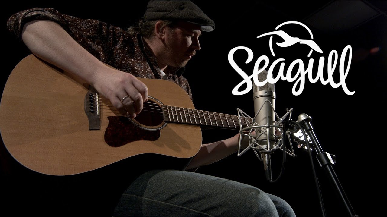 Seagull S6 Review - The Best Mid-Level Acoustic Guitar | Beginner Guitar HQ