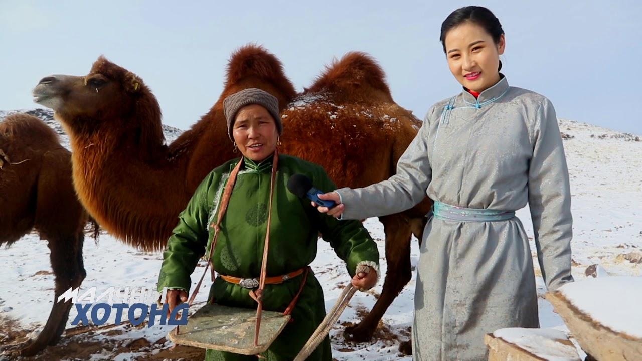 Өмнөговь аймаг Мандал-Овоо сум Улсын сайн малчин Батсүрэн