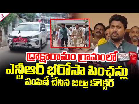ద్రాక్షారామ గ్రామంలో ఎన్టీఆర్ భరోసా పింఛన్లు పంపిణీ.. | Konaseema District Collector Mahesh Kumar