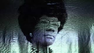 Stand Up And Be Counted by Val Jeanty & Candice Hoyes
