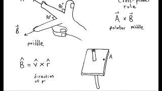 Using the Right Hand Cross Product Rule to Find the Magnetic Field Direction