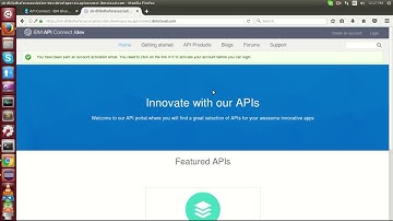 Developer Portal API Connect