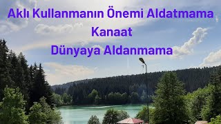Aklı Kullanmanın Önemi, Aldatmama, Kanaat, Dünyaya Aldanmama