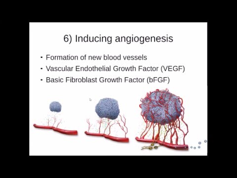 10 Hallmarks of Cancer - Revision