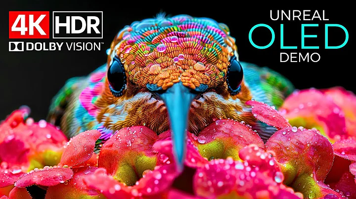 Unreal Quality – The Power of 4K HDR 120fps Dolby Vision (4K Video)