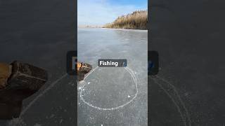 fishing on a frozen river 🎣#fishing #fish #food #cooking #short