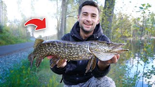 HIER IS HET TE MAKKELIJK OM SNOEK TE VANGEN!!! - Zweden vlog