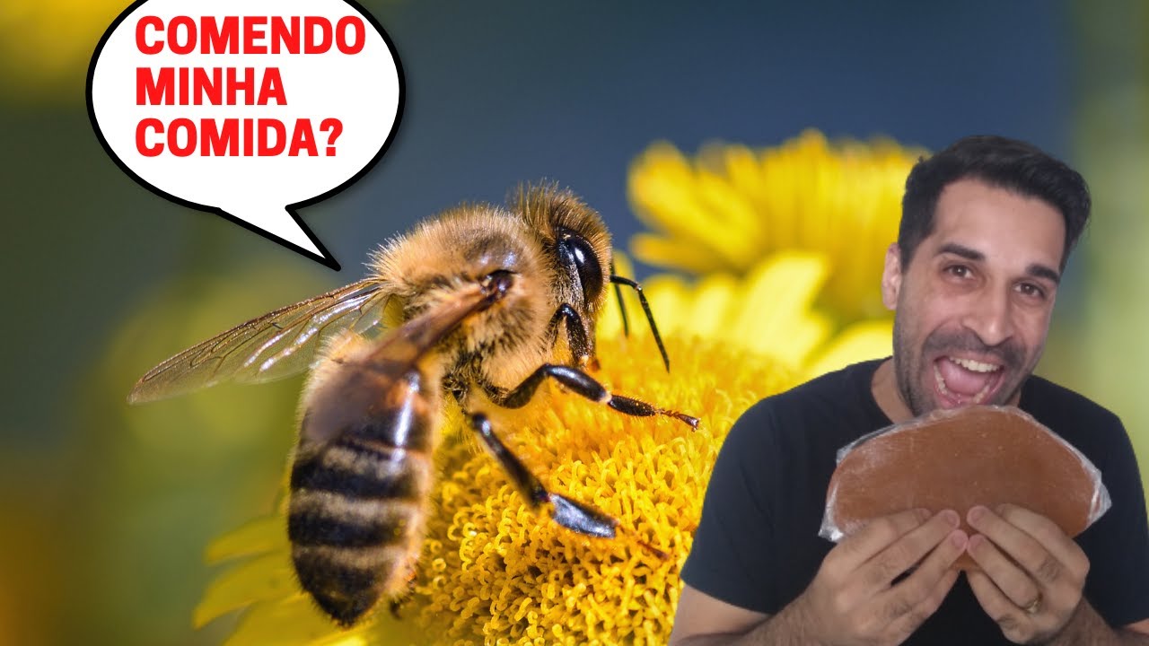 Como fazer ALIMENTAÇÃO PROTEICA para ABELHAS | Apislogia