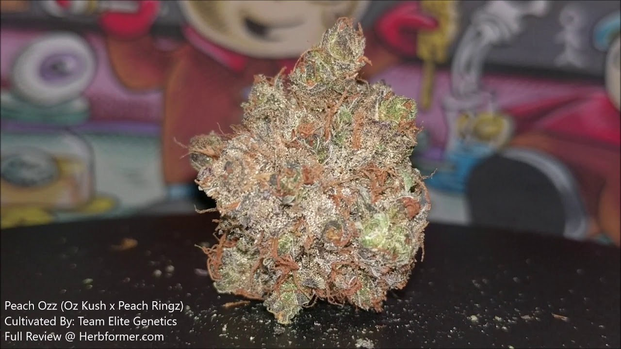 [Team Elite Genetics] Peach Ozz