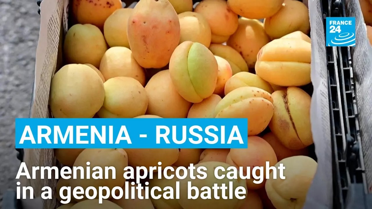 🇦🇲🇷🇺Armenia - Russia: Armenian apricots caught in a geopolitical battle • FRANCE 24