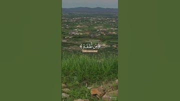 فَلَا يَحْزُنكَ قَوْلُهُمْ ۘ إِنَّا نَعْلَمُ مَا يُسِرُّونَ وَمَا يُعْلِنُونَ [ سورة يس: 76]
