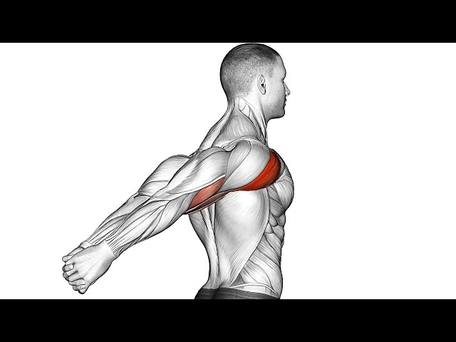 Fix Bad Posture and Strengthen Your Back!