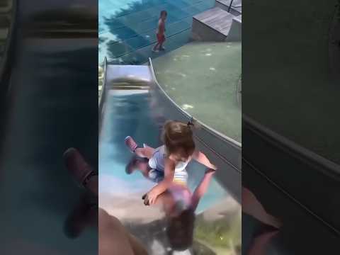 سقطت بأول خطوة مبروك بدأت تمشي