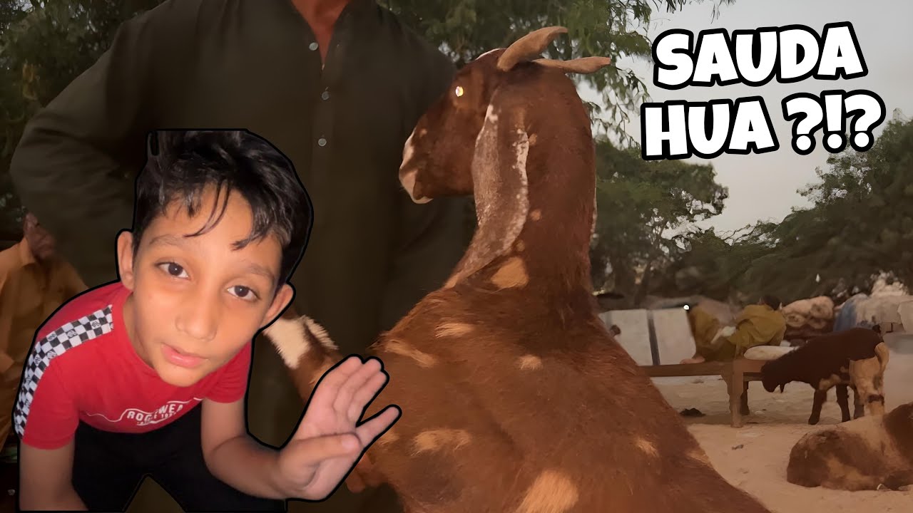 Bakra Eid kay baad Bakray ka Sauda | Wahaj Hassan