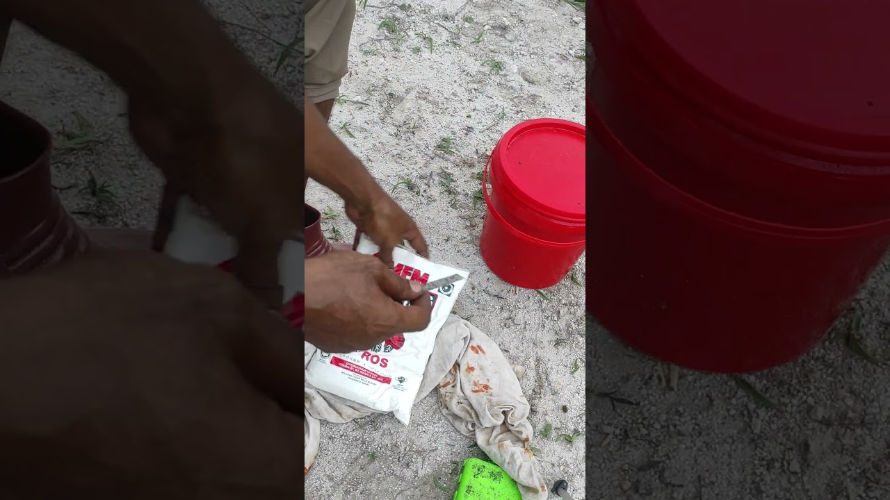 test pallet E8 kolam D.gambang#fypシ゚viral