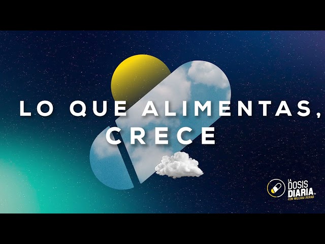 Dosis Diaria Roka - Lo que alimentas, crece