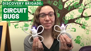 Discovery Brigade: Circuit Bug with Ms. Emily