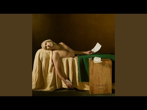 Bloodless - Andrew Bird