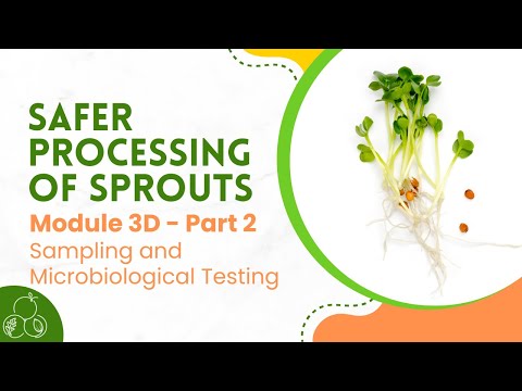Sprouts Module 3D Sampling and Microbiological Testing Part 2