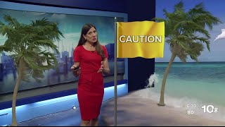 Beach Warning Flags