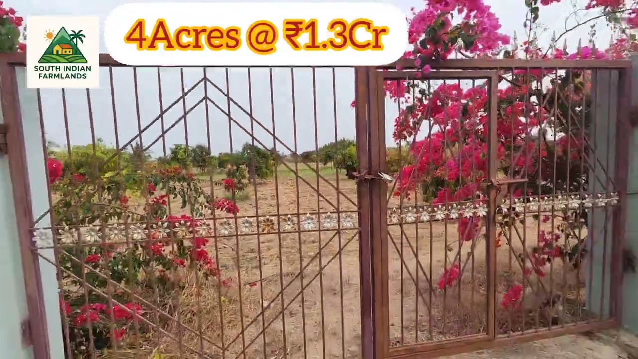 4 Acres of farmland  lfor sale near Penukonda AP, @ ₹1.3Cr Ping on 8152943766