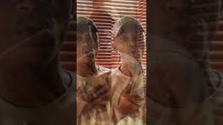 Wagerizulu Lezandla  rap new fyp