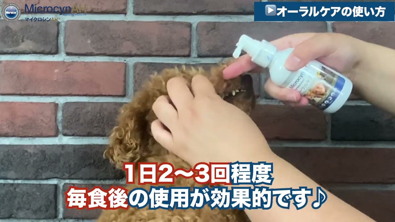 マイクロシンAH® オーラルケア（120ml） | マイクロシンAH 公式ショップ
