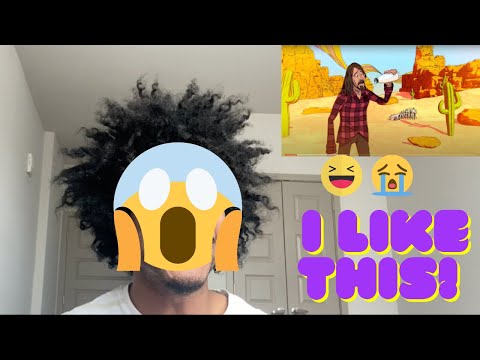 Foo Fighters - Chasing Birds (Official Video) - REACTION