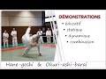 Alm judo les clayes sous bois    hanegoshi  okuriashibarai