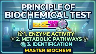 Principles of biochemical test #science #education #biology #culture