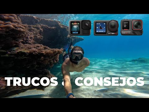 🎬 Video relacionado con cámaras para submarinismo