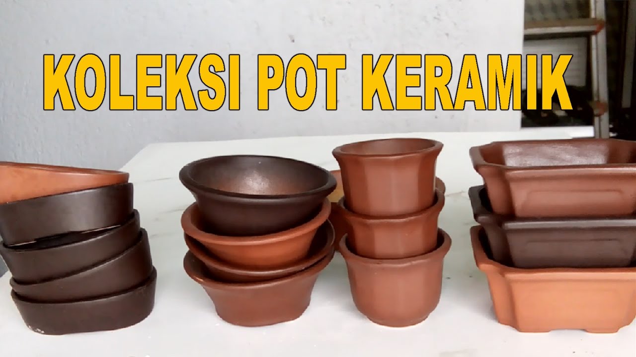 Koleksi Pot  Keramik  Mame Bonsai Tanaman Mini Part 4 