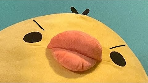 AP Statistics Project - 2023