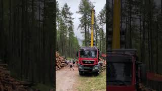 Vorsicht bei Forstarbeiten im Wald