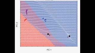 Cristina Savin: Uncovering the neural dynamics underlying latent state inference