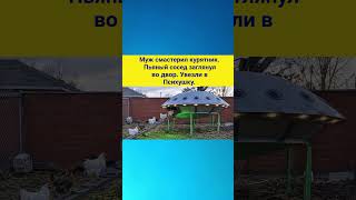 Сосед #шутка #юмор #шуточное #прикол