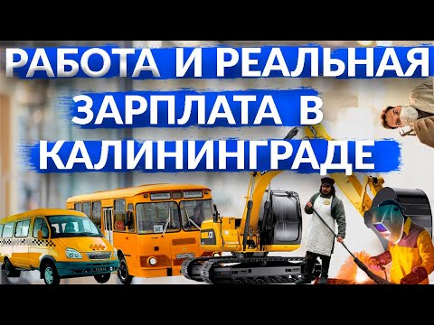 Работа и Реальная зарплата в Калининграде/Специальности по которым ВСЕГДА есть вакансии