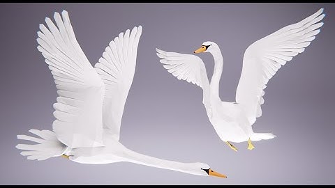 Low Poly Bird: Swan (Stylized Character for Unreal Engine & Unity)