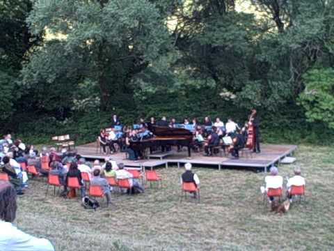 Rebecca Chaillot plays Schumann's Piano Concerto's First Movement's Allegro Affettuoso's Opening