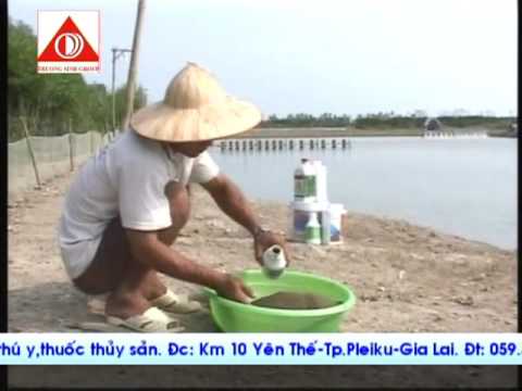 Video Giới thiệu Công ty Trường Sinh - youtube