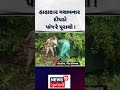 The roaring leopard is finally in the cage! | હાહાકાર મચાવનાર દીપડો પાંજરે પૂરાયો ! | N18S