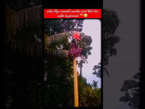 අරන් එන ගැම්ම thumbnail